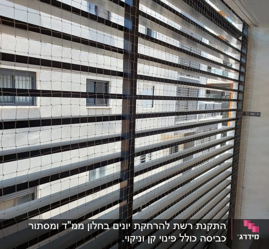 רשת למניעת כניסת יונים על חלון מרפסת
